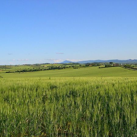 코르토나 Agriturismo San Francesco 빌라 외부 사진