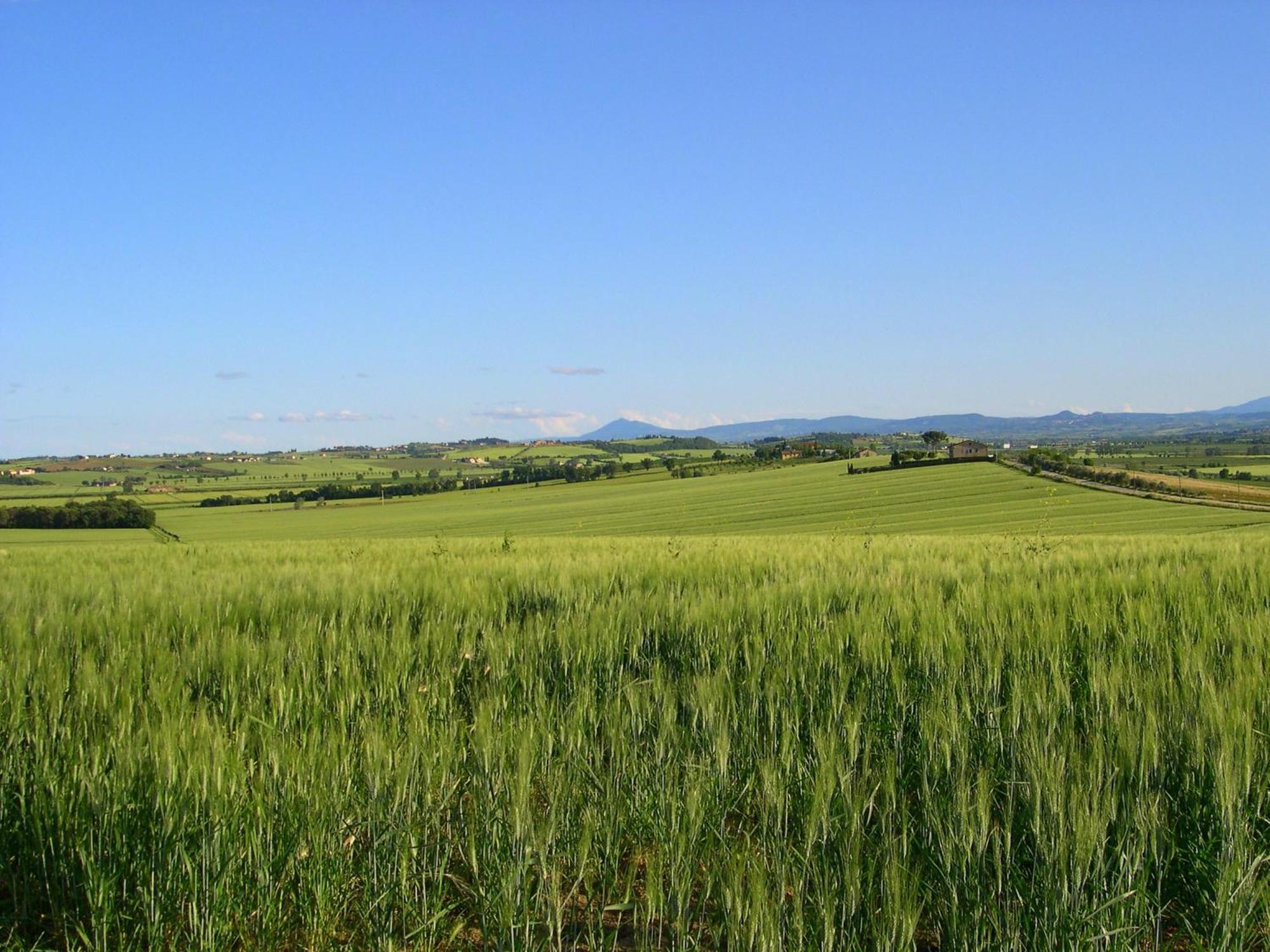 코르토나 Agriturismo San Francesco 빌라 외부 사진