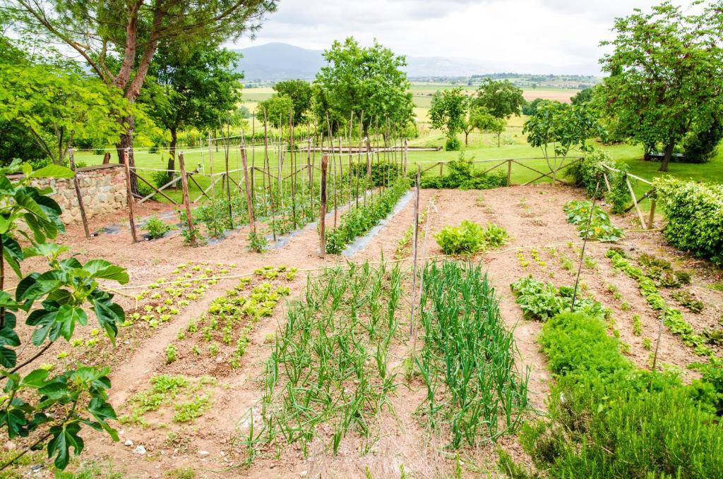 코르토나 Agriturismo San Francesco 빌라 외부 사진