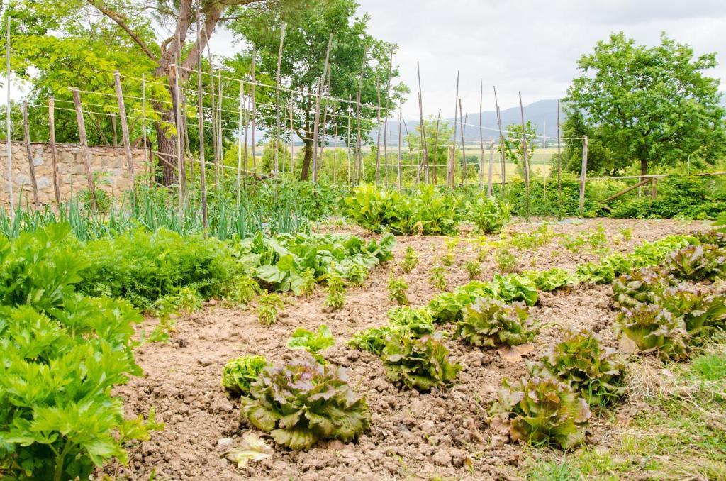 코르토나 Agriturismo San Francesco 빌라 외부 사진