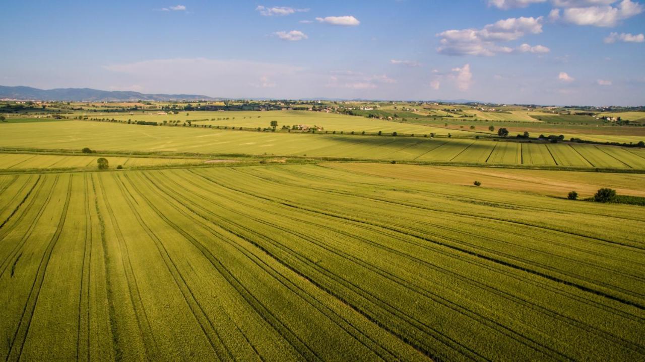 코르토나 Agriturismo San Francesco 빌라 외부 사진